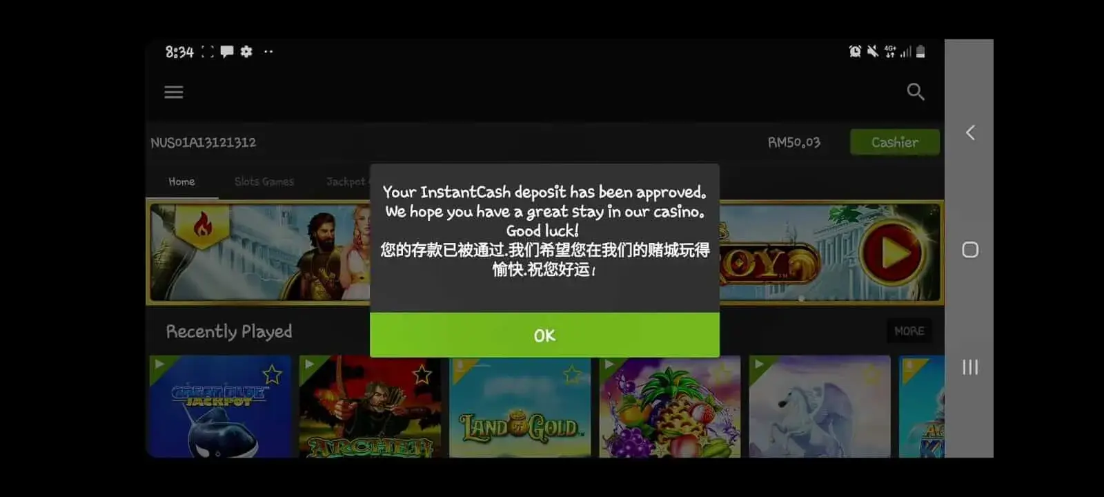 Screenshot Newtown APK v1.12.1.1
