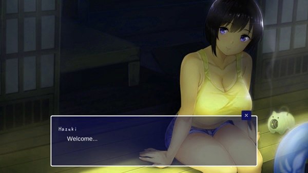 Screenshot Summer Life In The Countryside APK
