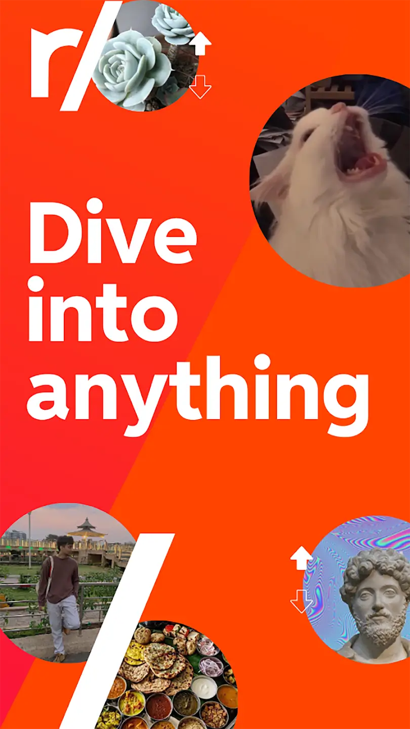 Screenshot Reddit APK