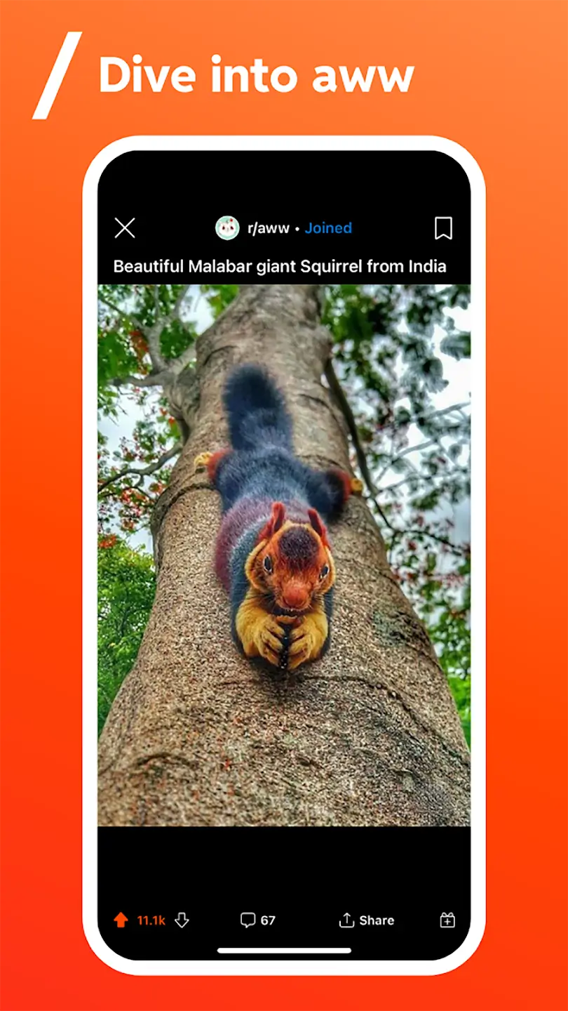 Screenshot Reddit APK
