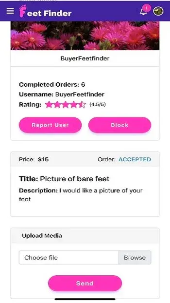 Screenshot FeetFinder APK