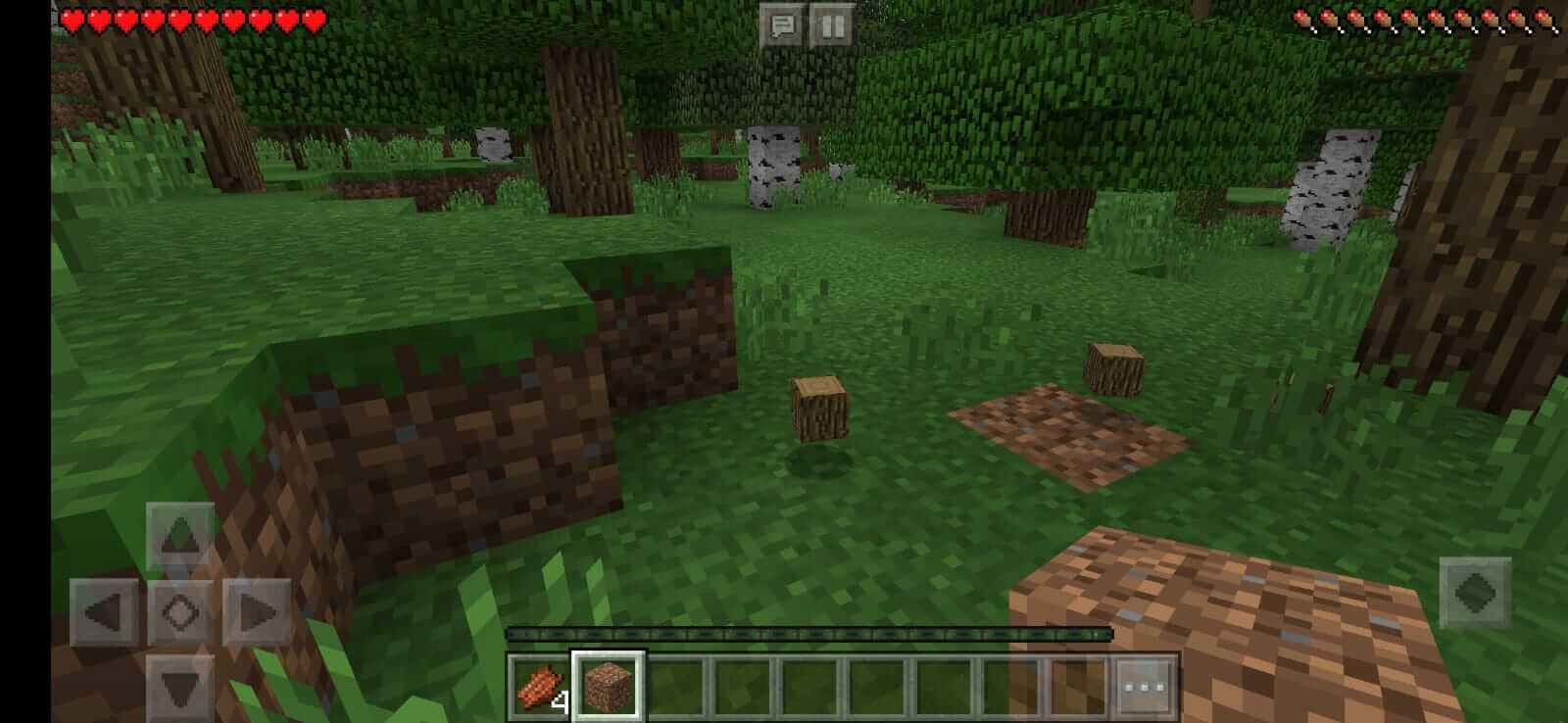 Screenshot Minecraft Bedrock Edition APK v1.26.30.21